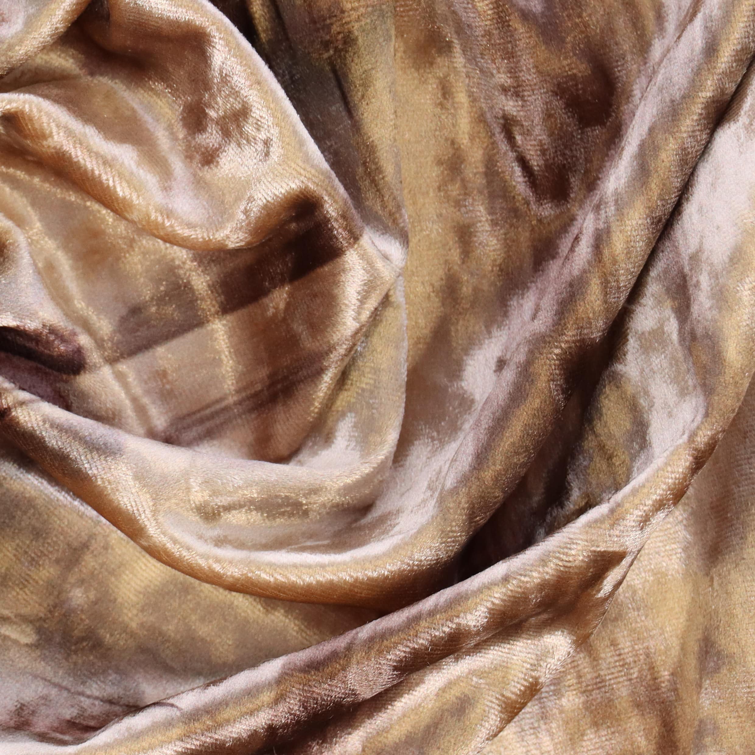 SILK-CO TARANTOLA
